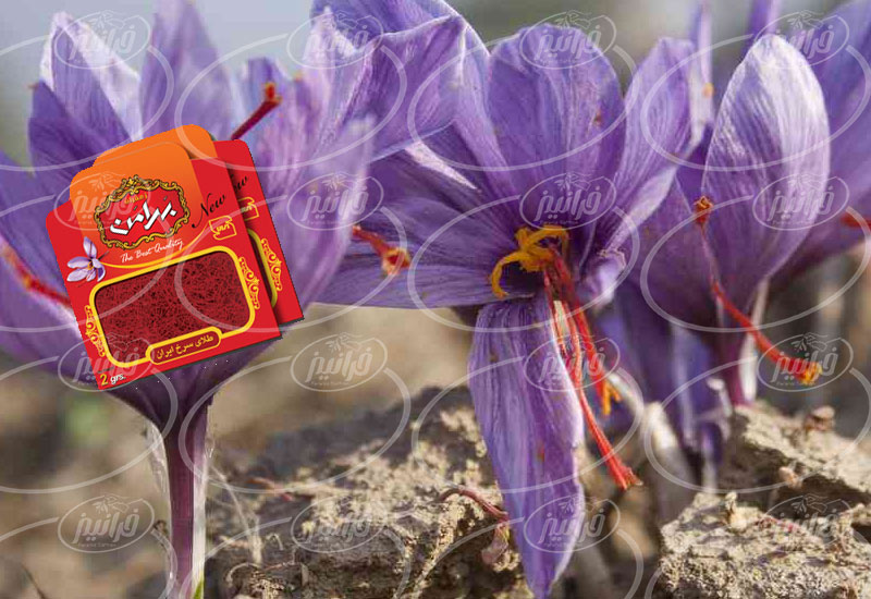 قیمت زعفران 2 گرمی بهرامن برای مصارف خانگی 